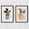 Planted Twin Set Narrow Black Frame