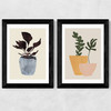 Planted Twin Set Wide Black Frame