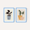 Planted Twin Set