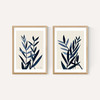 Blue Plant Twin Set