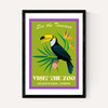 Zoo Toucan