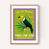 Zoo Toucan