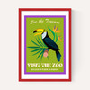 Zoo Toucan