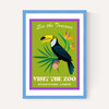 Zoo Toucan