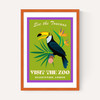 Zoo Toucan