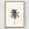 Palm Tree I Wide Oak Frame