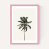 Palm Tree I