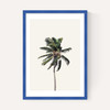Palm Tree I