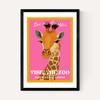 Zoo Giraffe