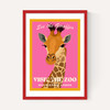 Zoo Giraffe