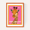 Zoo Giraffe