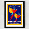 Zoo Parrots Wide Black Frame