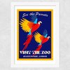 Zoo Parrots Wide White Frame