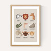 Animal Safari In Stone