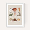 Animal Safari In Stone