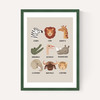 Animal Safari In Stone