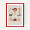 Animal Safari In Stone
