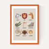Animal Safari In Stone
