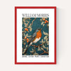 William Morris Robin