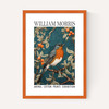 William Morris Robin