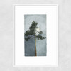 The Pine III Narrow White Frame