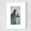 The Pine III Medium White Frame