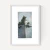The Pine III