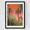 MioMio Medium Black Frame