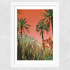 MioMio Wide White Frame