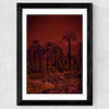 Bellagio Wide Black Frame