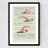 Swimmers Matchbox Medium Black Frame