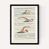 Swimmers Matchbox