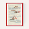 Swimmers Matchbox