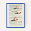 Swimmers Matchbox