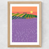 Lavender Fields