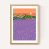 Lavender Fields