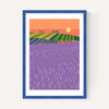 Lavender Fields