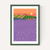 Lavender Fields