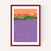 Lavender Fields