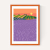 Lavender Fields