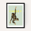 Cheeky Monkey