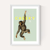 Cheeky Monkey