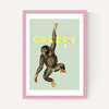 Cheeky Monkey