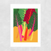 Rainbow Chard Unframed Print