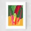 Rainbow Chard Medium White Frame