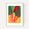 Rainbow Chard
