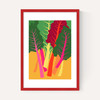 Rainbow Chard