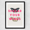 Spread Your Wings