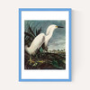 Snowy Egret by John James Audubon
