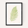 Ferns 2